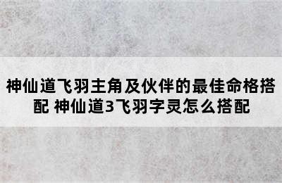 神仙道飞羽主角及伙伴的最佳命格搭配 神仙道3飞羽字灵怎么搭配